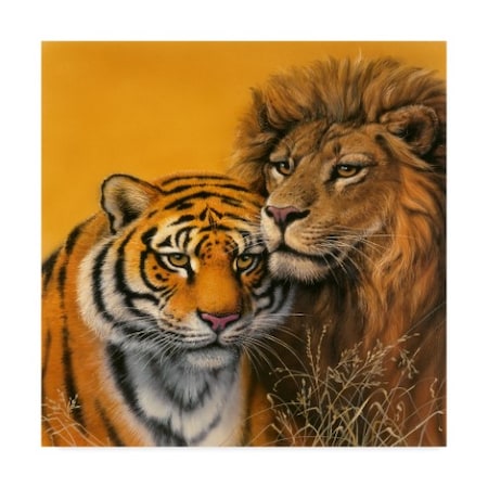 Harro Maass 'Lion & Tiger' Canvas Art,18x18